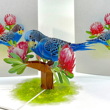 Blue & Yellow Budgie with Pink Protea Flowers Origami Pop Cards 3D Pop Up Greeting Card Celebrate Happy Birthday Thank You Handmade Best Wishes Gift Thinking of You Blank Card for Any Occasion Happy Mother's Day Happy Father's Day Australiana Nature
