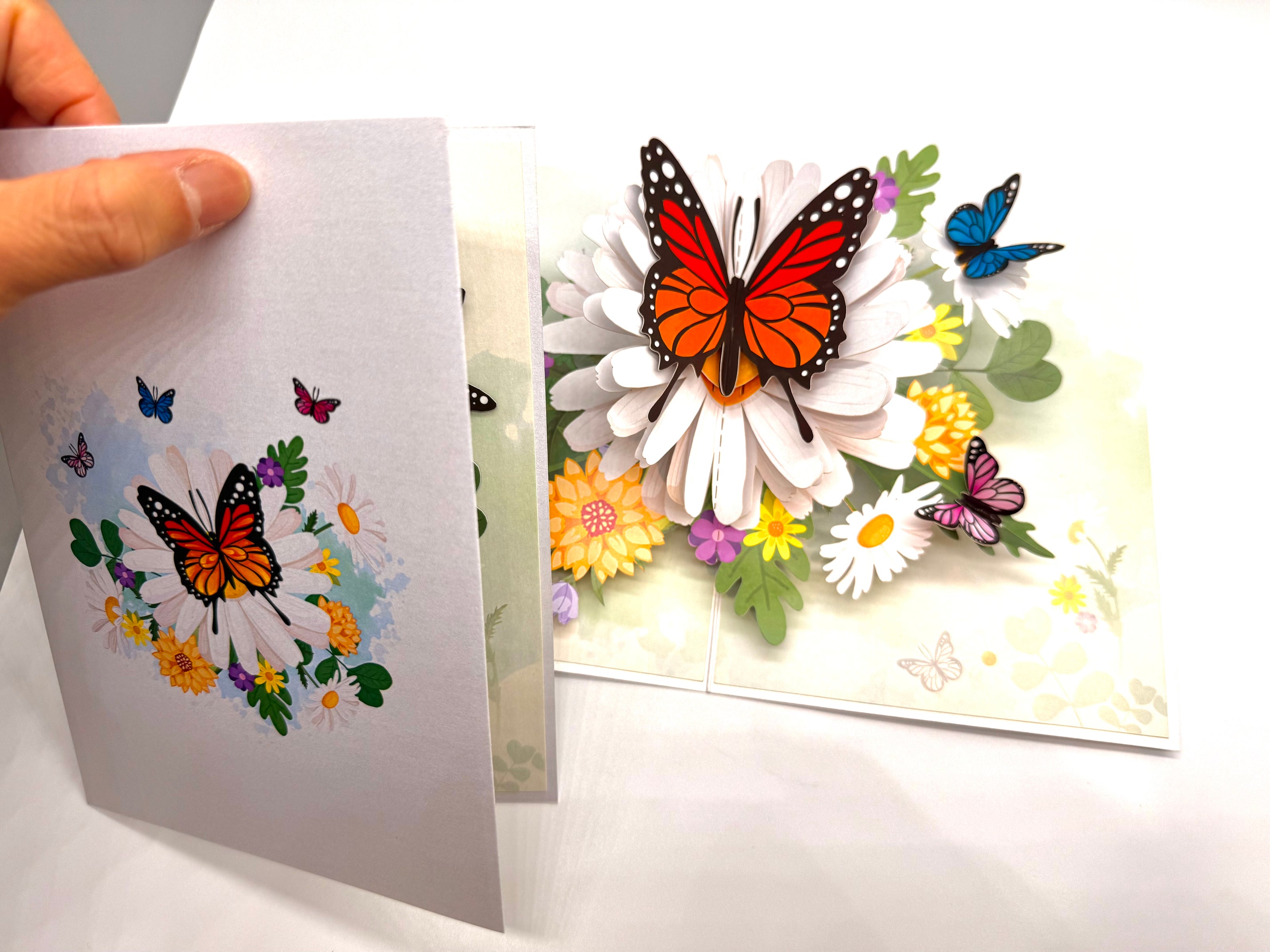 Butterflies Attracting Daisy Flowers Origami Pop Cards 3D Pop Up Greeting Card Happy Birthday Thank You Handmade Gift Thinking of You Blank Card for Any Occasion Happy Mother's Day Happy Father's Australiana Celebrate the Beauty of Flower (Copy)