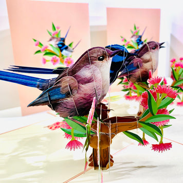 Lovebird Couple Superb Fairy-Wren or Known as Blue Wren Aussie Bird Origami Pop Cards 3D Pop Up Greeting Card Best Wishes Happy Birthday Gift Thank You Handmade Blank Card for Any Occasion Happy Mother's Day Happy Mother's Day Celebrate Beauty of Flower