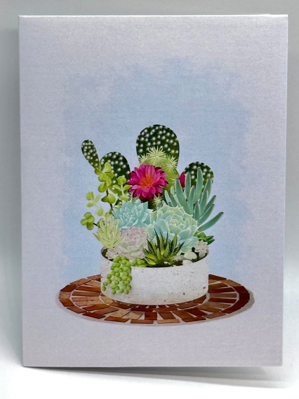 Cactus & Succulent Garden Origami Pop Cards 3D Pop Up Greeting Card Happy Birthday Thank You Handmade Best Wishes Gift Thinking of You Blank Card for Any Occasion Happy Mother's Day Happy Father's Australiana Celebrate the Beauty of Nature