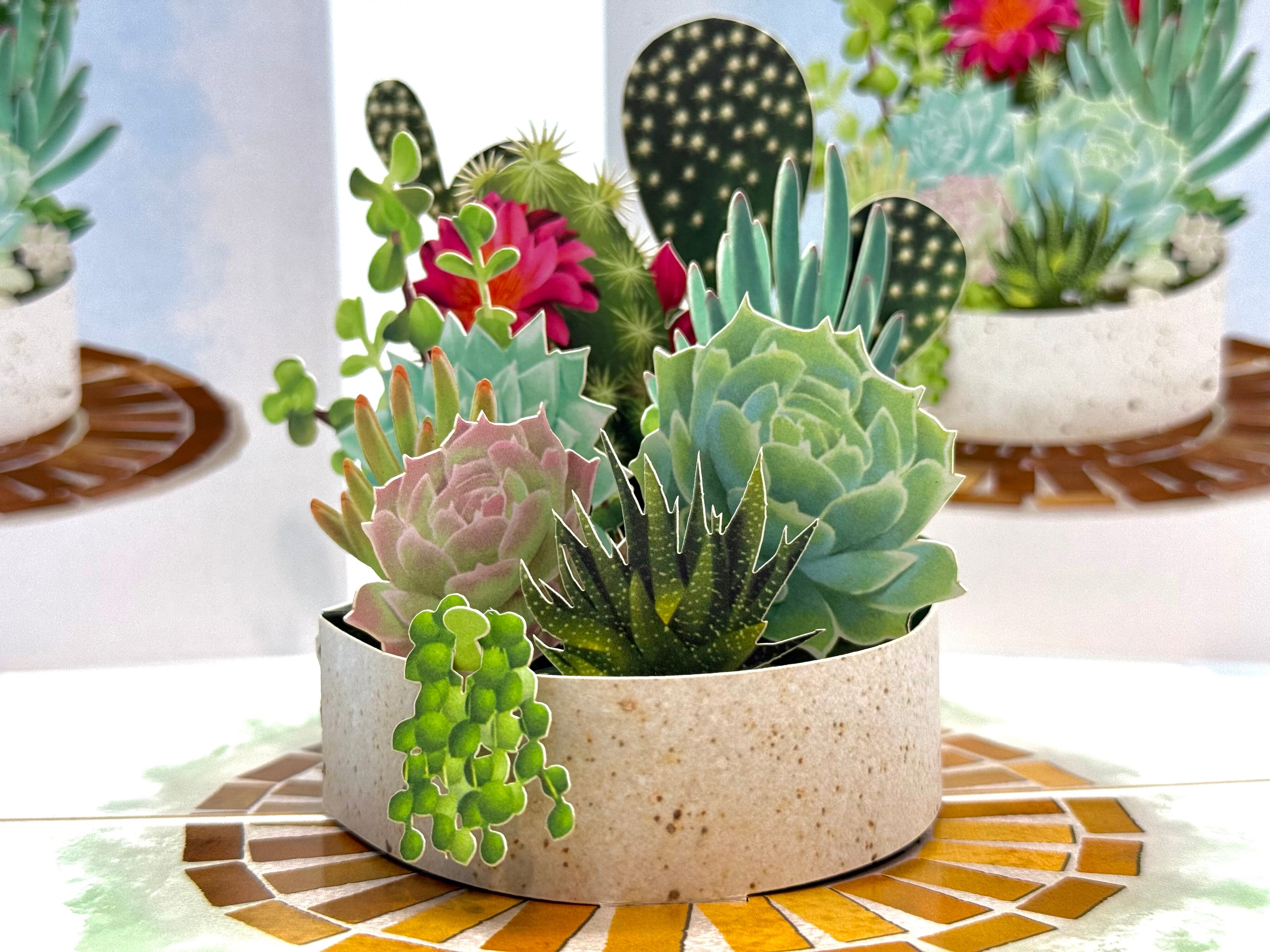 Cactus & Succulent Garden Origami Pop Cards 3D Pop Up Greeting Card Happy Birthday Thank You Handmade Best Wishes Gift Thinking of You Blank Card for Any Occasion Happy Mother's Day Happy Father's Australiana Celebrate the Beauty of Nature