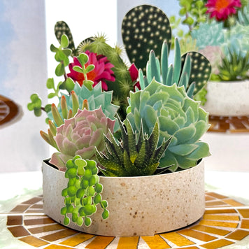 Cactus & Succulent Garden Origami Pop Cards 3D Pop Up Greeting Card Happy Birthday Thank You Handmade Best Wishes Gift Thinking of You Blank Card for Any Occasion Happy Mother's Day Happy Father's Australiana Celebrate the Beauty of Nature