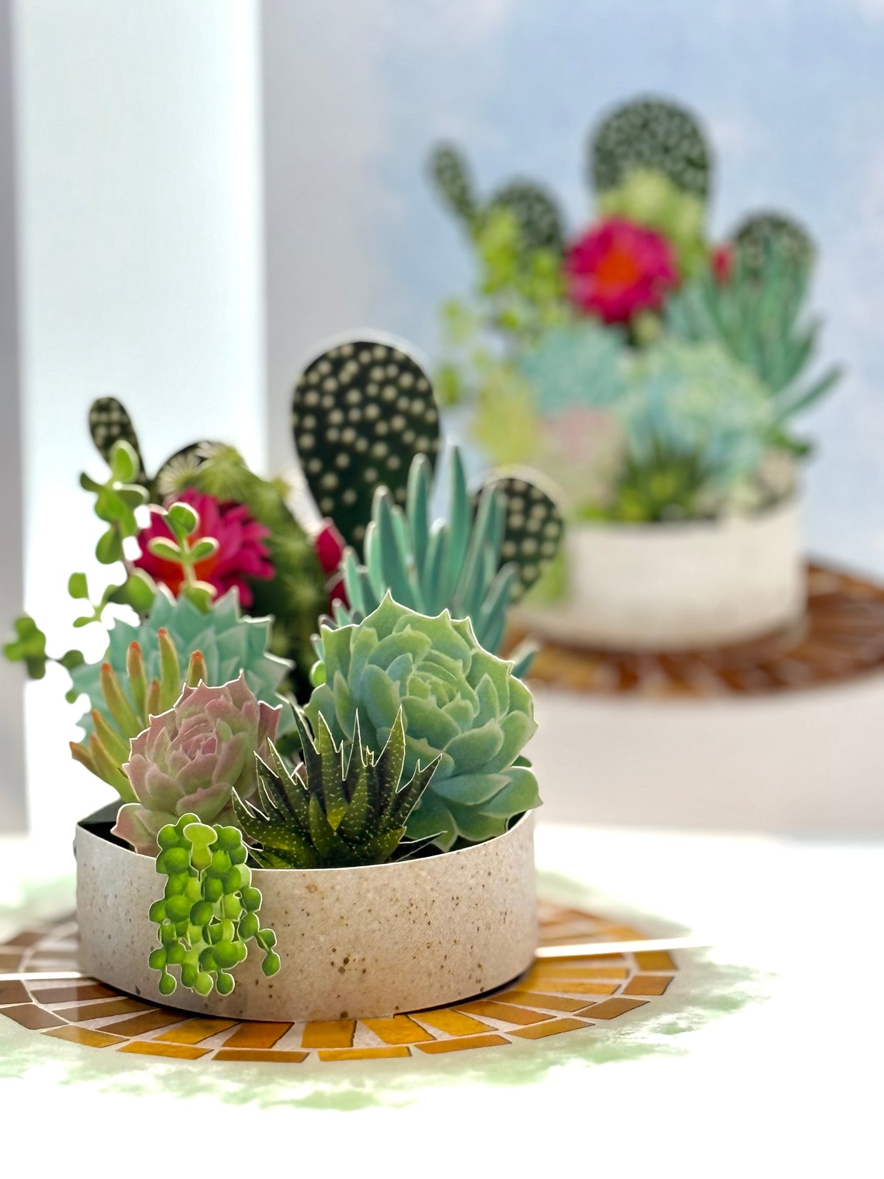 Cactus & Succulent Garden Origami Pop Cards 3D Pop Up Greeting Card Happy Birthday Thank You Handmade Best Wishes Gift Thinking of You Blank Card for Any Occasion Happy Mother's Day Happy Father's Australiana Celebrate the Beauty of Nature