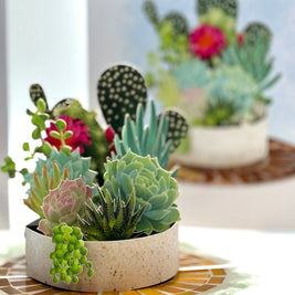 Cactus & Succulent Garden Origami Pop Cards 3D Pop Up Greeting Card Happy Birthday Thank You Handmade Best Wishes Gift Thinking of You Blank Card for Any Occasion Happy Mother's Day Happy Father's Australiana Celebrate the Beauty of Nature