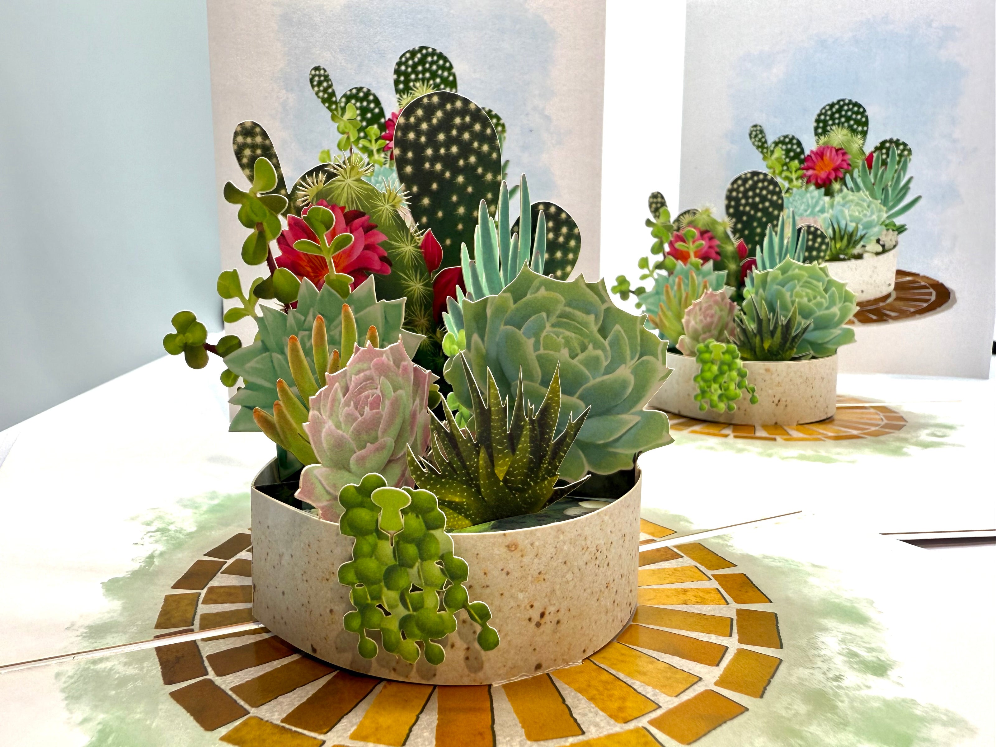 Cactus & Succulent Garden Origami Pop Cards 3D Pop Up Greeting Card Happy Birthday Thank You Handmade Best Wishes Gift Thinking of You Blank Card for Any Occasion Happy Mother's Day Happy Father's Australiana Celebrate the Beauty of Nature