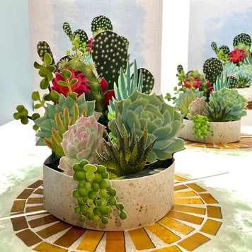 Cactus & Succulent Garden Origami Pop Cards 3D Pop Up Greeting Card Happy Birthday Thank You Handmade Best Wishes Gift Thinking of You Blank Card for Any Occasion Happy Mother's Day Happy Father's Australiana Celebrate the Beauty of Nature