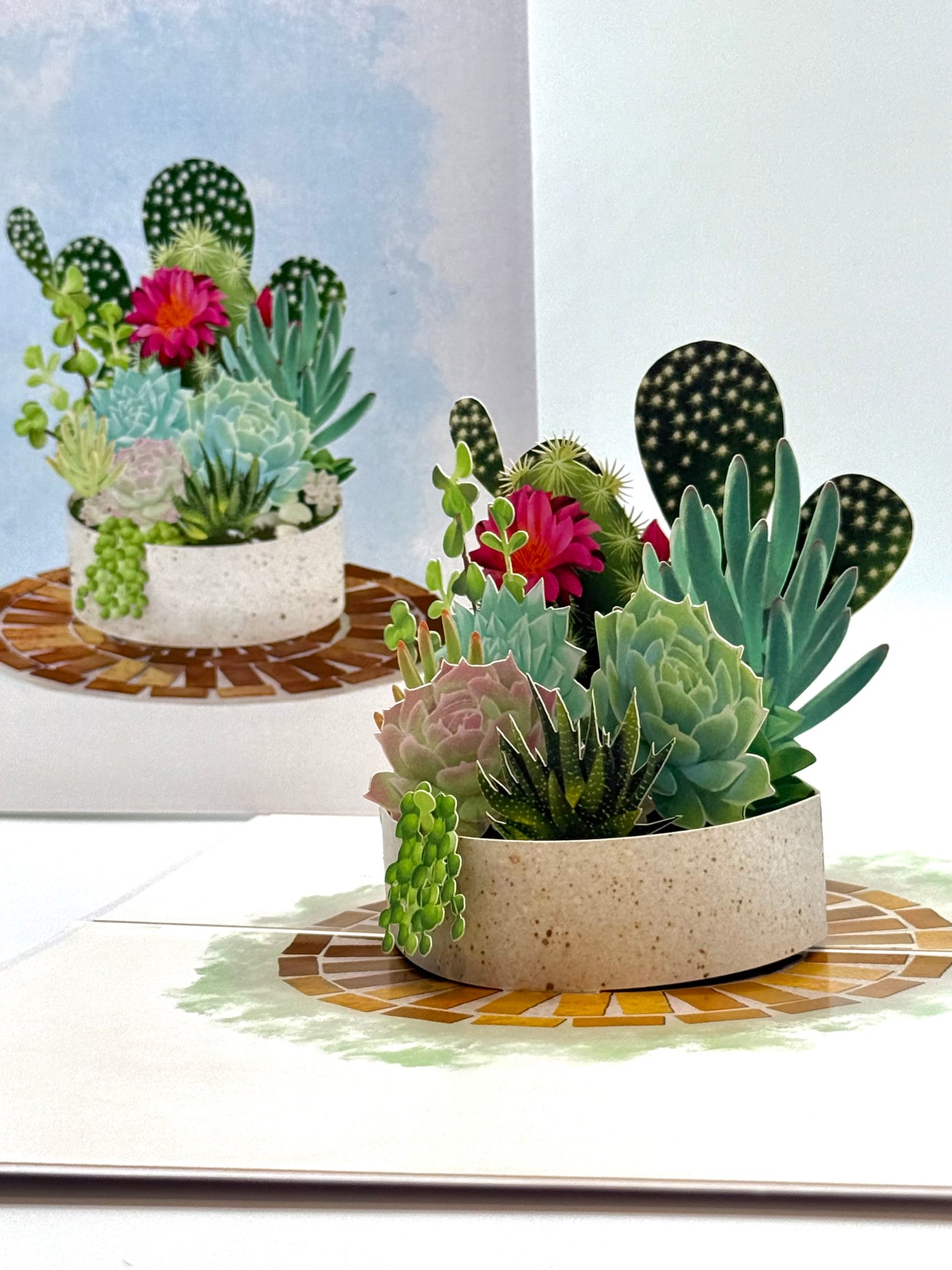 Cactus & Succulent Garden Origami Pop Cards 3D Pop Up Greeting Card Happy Birthday Thank You Handmade Best Wishes Gift Thinking of You Blank Card for Any Occasion Happy Mother's Day Happy Father's Australiana Celebrate the Beauty of Nature
