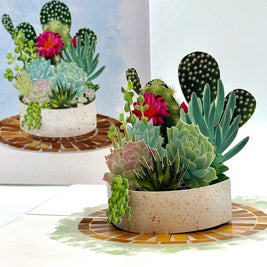 Cactus & Succulent Garden Origami Pop Cards 3D Pop Up Greeting Card Happy Birthday Thank You Handmade Best Wishes Gift Thinking of You Blank Card for Any Occasion Happy Mother's Day Happy Father's Australiana Celebrate the Beauty of Nature