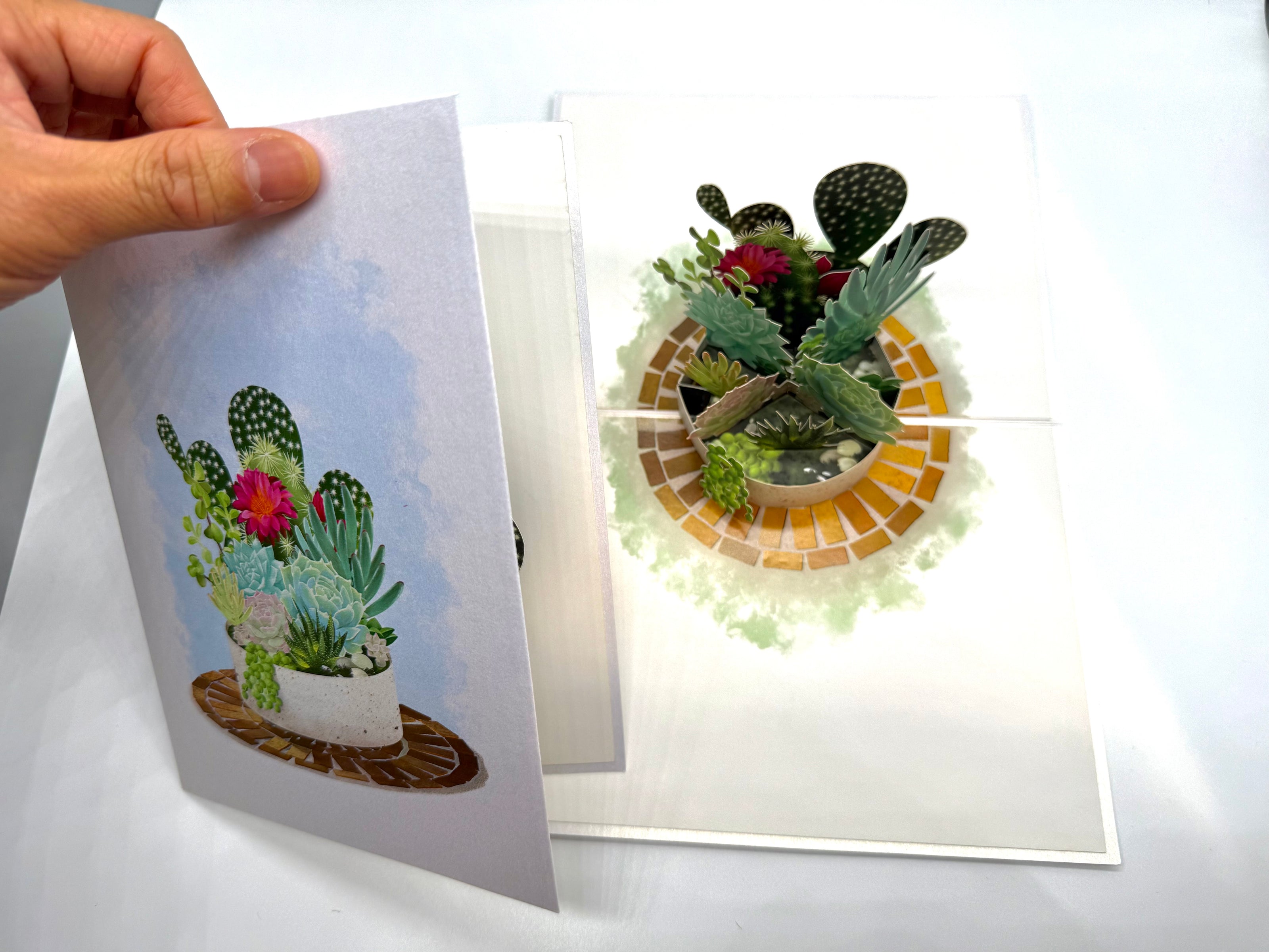 Cactus & Succulent Garden Origami Pop Cards 3D Pop Up Greeting Card Happy Birthday Thank You Handmade Best Wishes Gift Thinking of You Blank Card for Any Occasion Happy Mother's Day Happy Father's Australiana Celebrate the Beauty of Nature