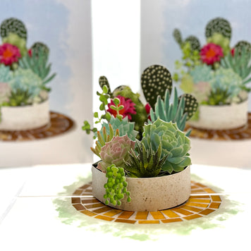 Cactus & Succulent Garden Origami Pop Cards 3D Pop Up Greeting Card Happy Birthday Thank You Handmade Best Wishes Gift Thinking of You Blank Card for Any Occasion Happy Mother's Day Happy Father's Australiana Celebrate the Beauty of Nature
