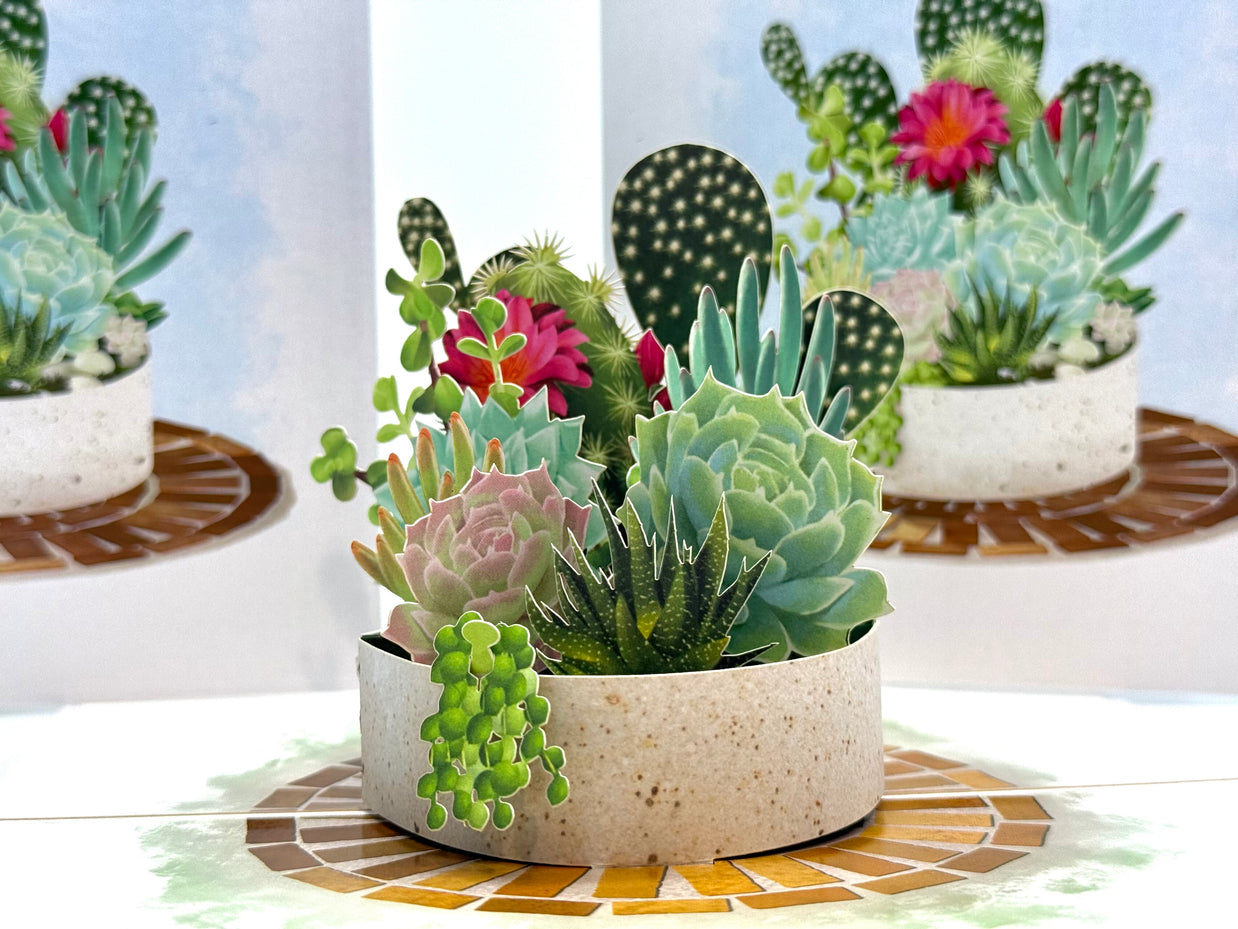 Cactus & Succulent Garden Origami Pop Cards 3D Pop Up Greeting Card Happy Birthday Thank You Handmade Best Wishes Gift Thinking of You Blank Card for Any Occasion Happy Mother's Day Happy Father's Australiana Celebrate the Beauty of Nature