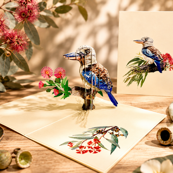 Laughing Kookaburra Australian Bird with Native Pink Gumnut Blossom Wildflower Origami Pop Cards 3D Pop Up Greeting Card Happy Birthday Thank You Handmade Gift Thinking of You Blank Card for Any Occasion Happy Mother's Day Happy Father's Australiana