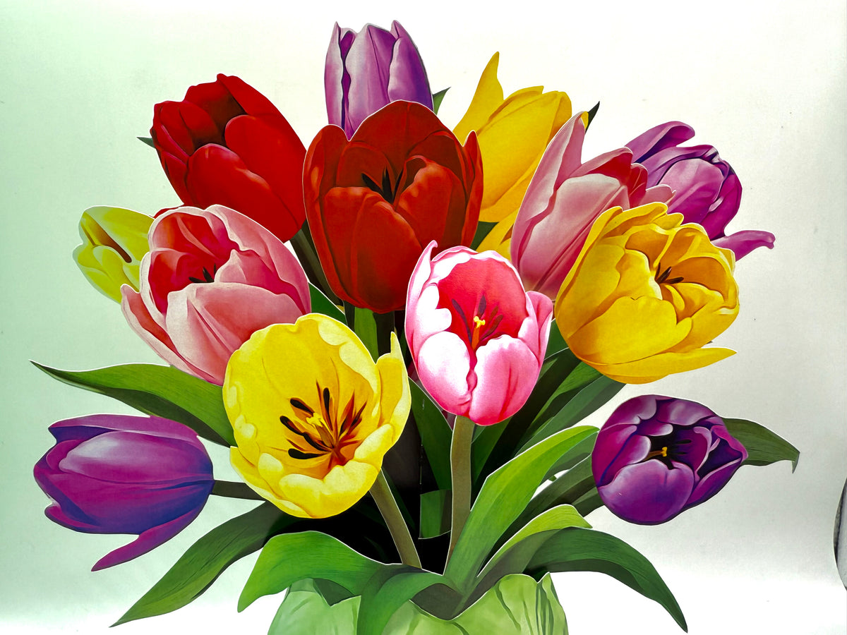 Colourful Tulip Time 3D Pop-Up Flower Bouquet Origami Pop Cards 3D Pop Up Greeting Card Happy Birthday Thank You Handmade Gift Thinking of You Blank Card for Any Occasion Happy Mother's Day Happy Father's Australiana Celebrate