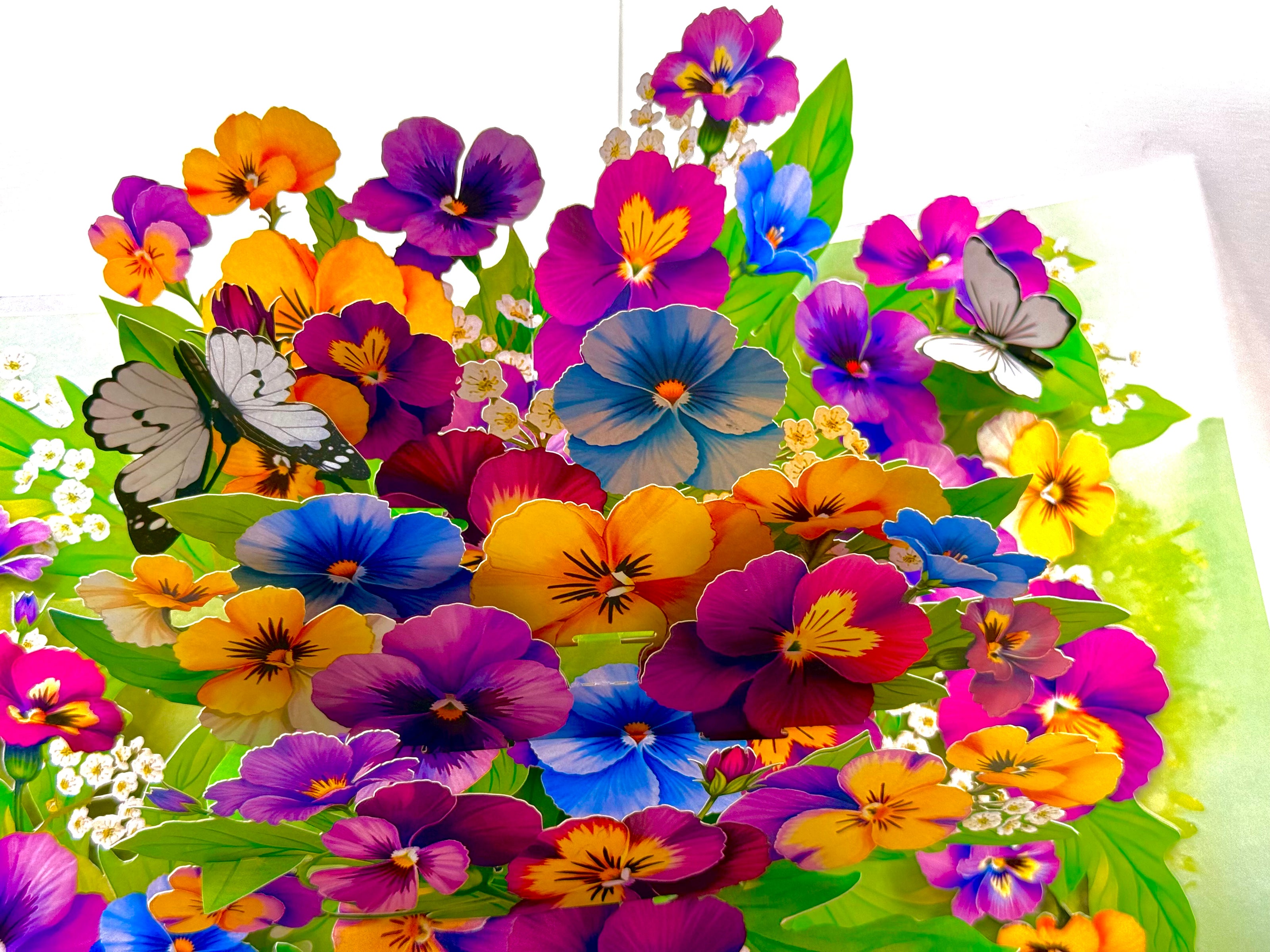 Colourful Pansy Flower Garden with Butterflies Origami Pop Cards 3D Pop Up Greeting Card Happy Birthday Thank You Handmade Gift Thinking of You Blank Card for Any Occasion Happy Mother's Day Happy Father's Australiana Celebrate the Beauty of Autumn Flowe