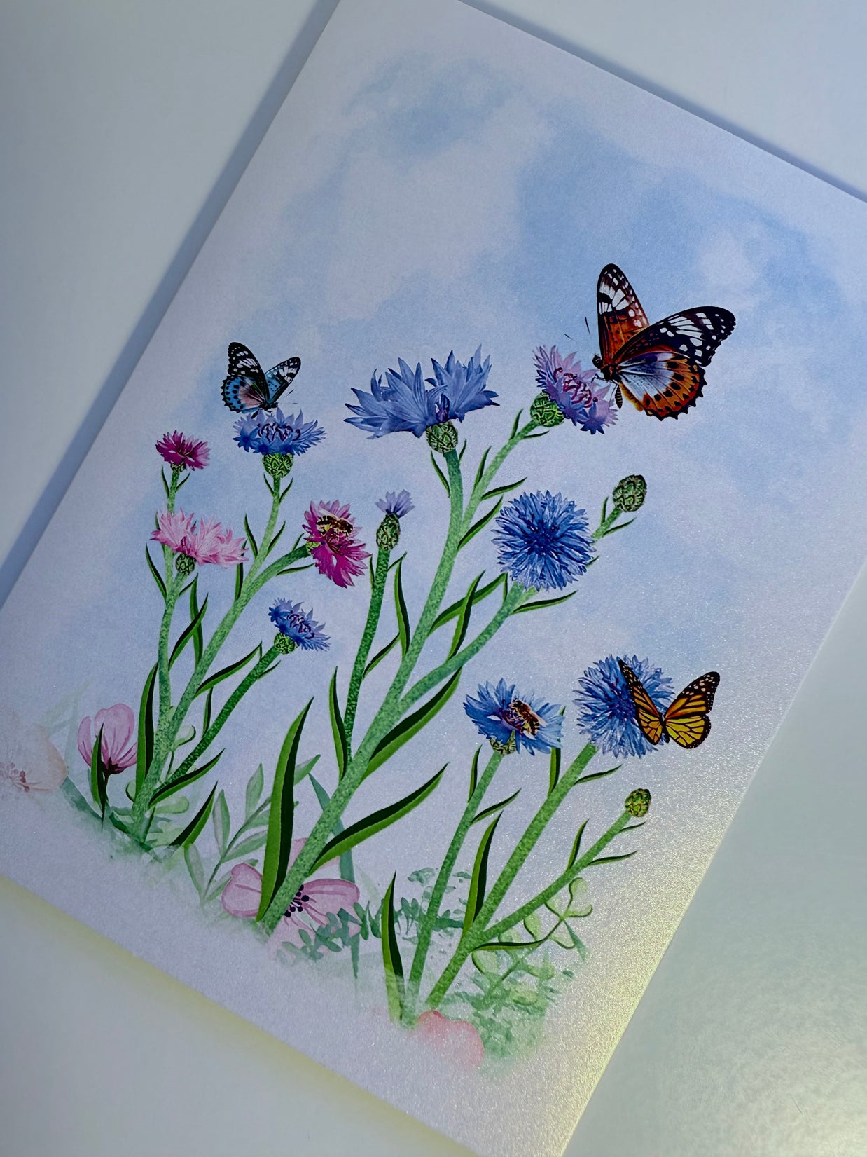 Cornflower Garden with Butterflies Origami Pop Cards 3D Pop Up Greeting Card Happy Birthday Thank You Handmade Gift Thinking of You Blank Card for Any Occasion Happy Mother's Day Happy Father's Australiana Celebrate the Beauty of Flower