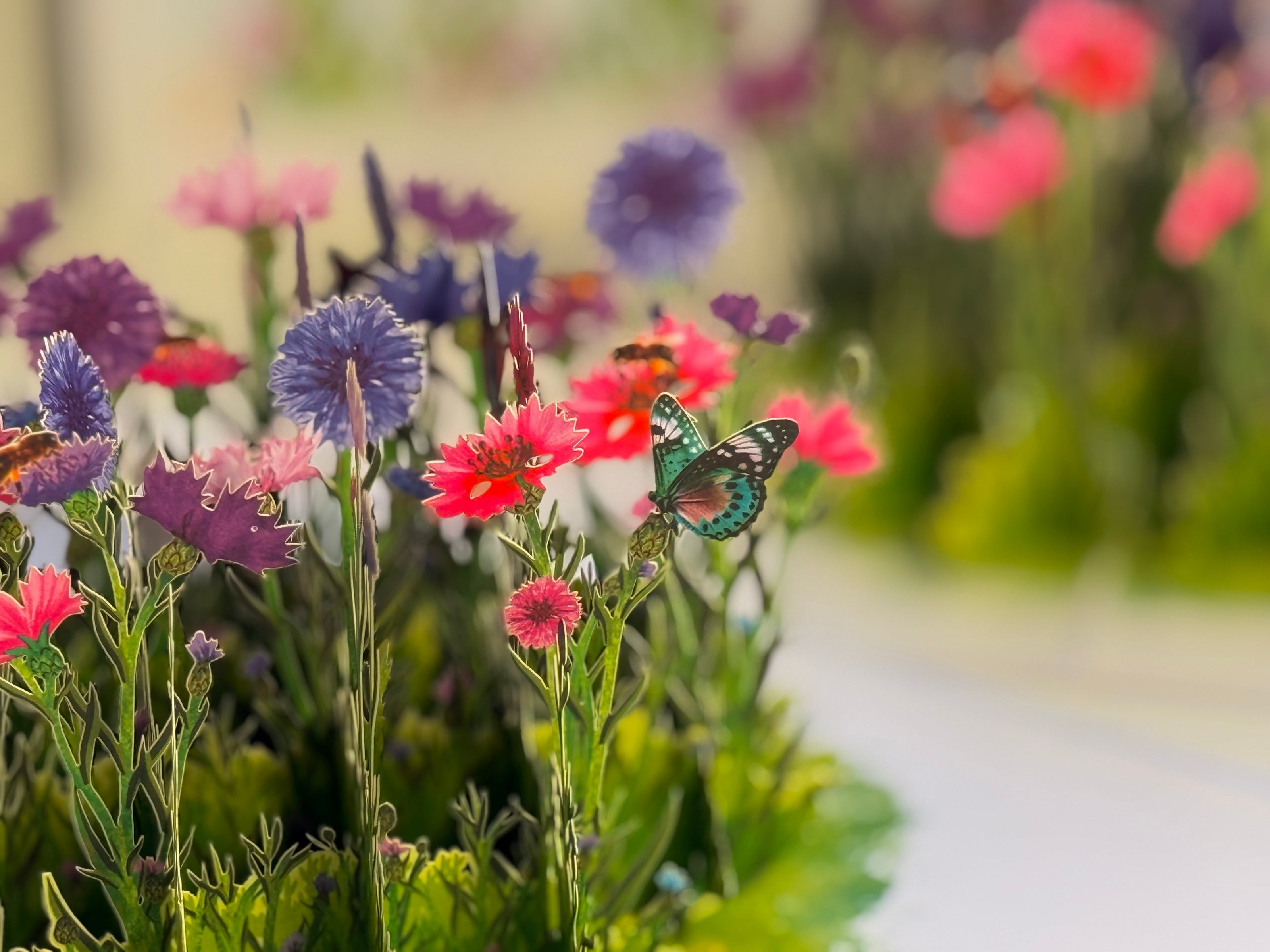 Cornflower Garden with Butterflies Origami Pop Cards 3D Pop Up Greeting Card Happy Birthday Thank You Handmade Gift Thinking of You Blank Card for Any Occasion Happy Mother's Day Happy Father's Australiana Celebrate the Beauty of Flower