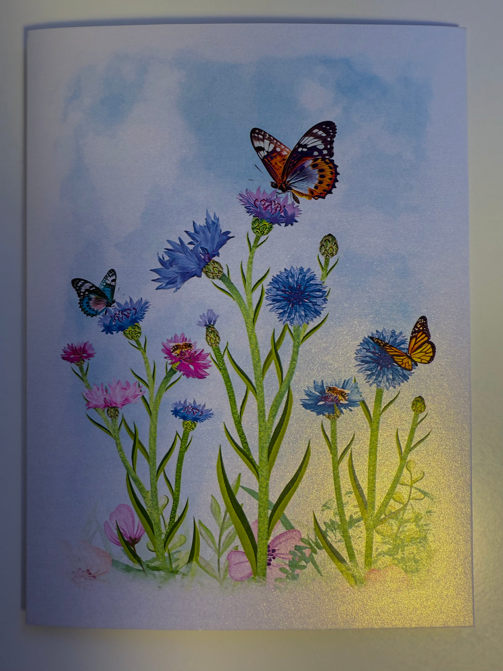 Cornflower Garden with Butterflies Origami Pop Cards 3D Pop Up Greeting Card Happy Birthday Thank You Handmade Gift Thinking of You Blank Card for Any Occasion Happy Mother's Day Happy Father's Australiana Celebrate the Beauty of Flower