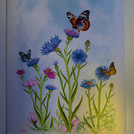 Cornflower Garden with Butterflies Origami Pop Cards 3D Pop Up Greeting Card Happy Birthday Thank You Handmade Gift Thinking of You Blank Card for Any Occasion Happy Mother's Day Happy Father's Australiana Celebrate the Beauty of Flower