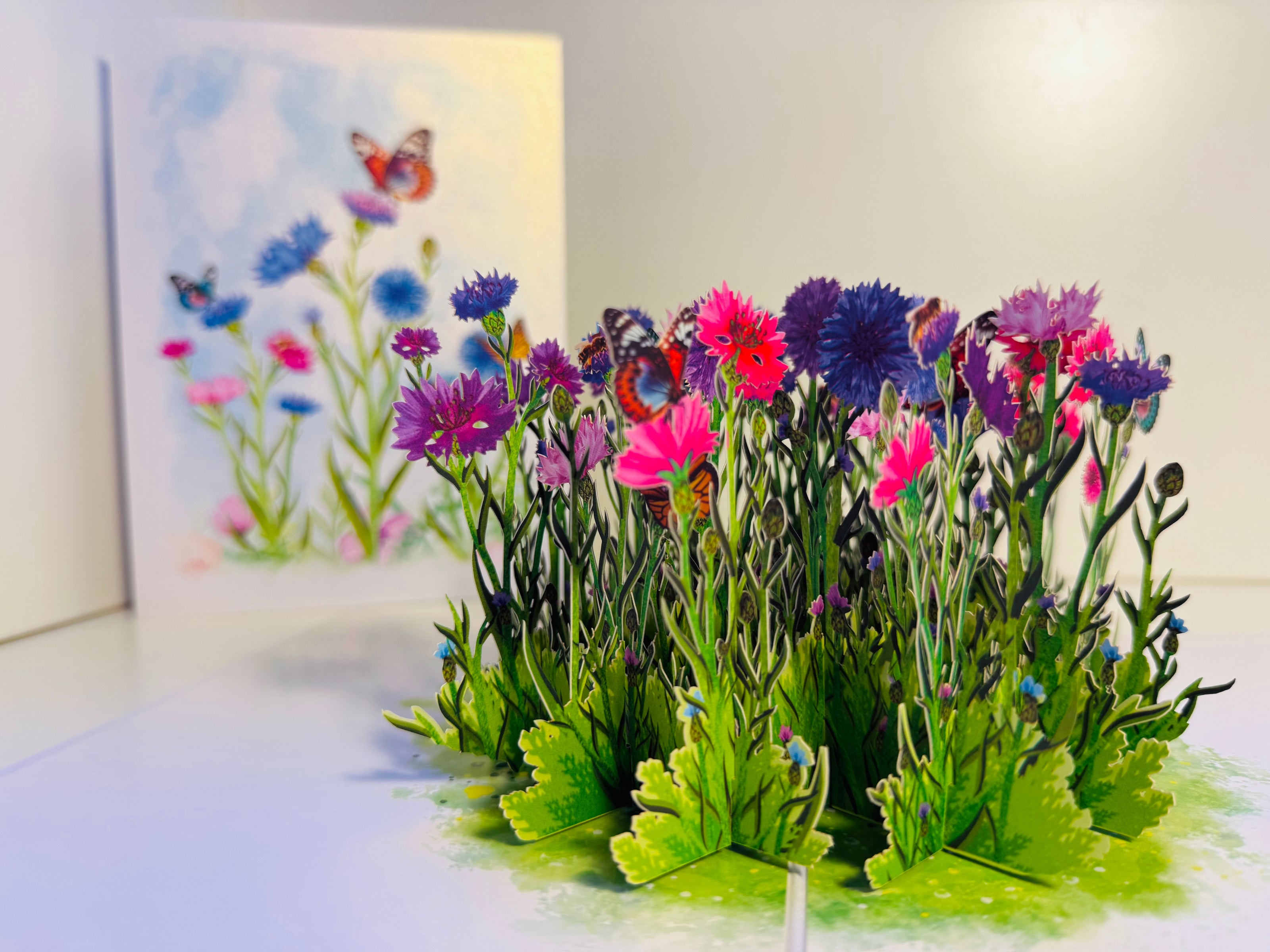 Cornflower Garden with Butterflies Origami Pop Cards 3D Pop Up Greeting Card Happy Birthday Thank You Handmade Gift Thinking of You Blank Card for Any Occasion Happy Mother's Day Happy Father's Australiana Celebrate the Beauty of Flower