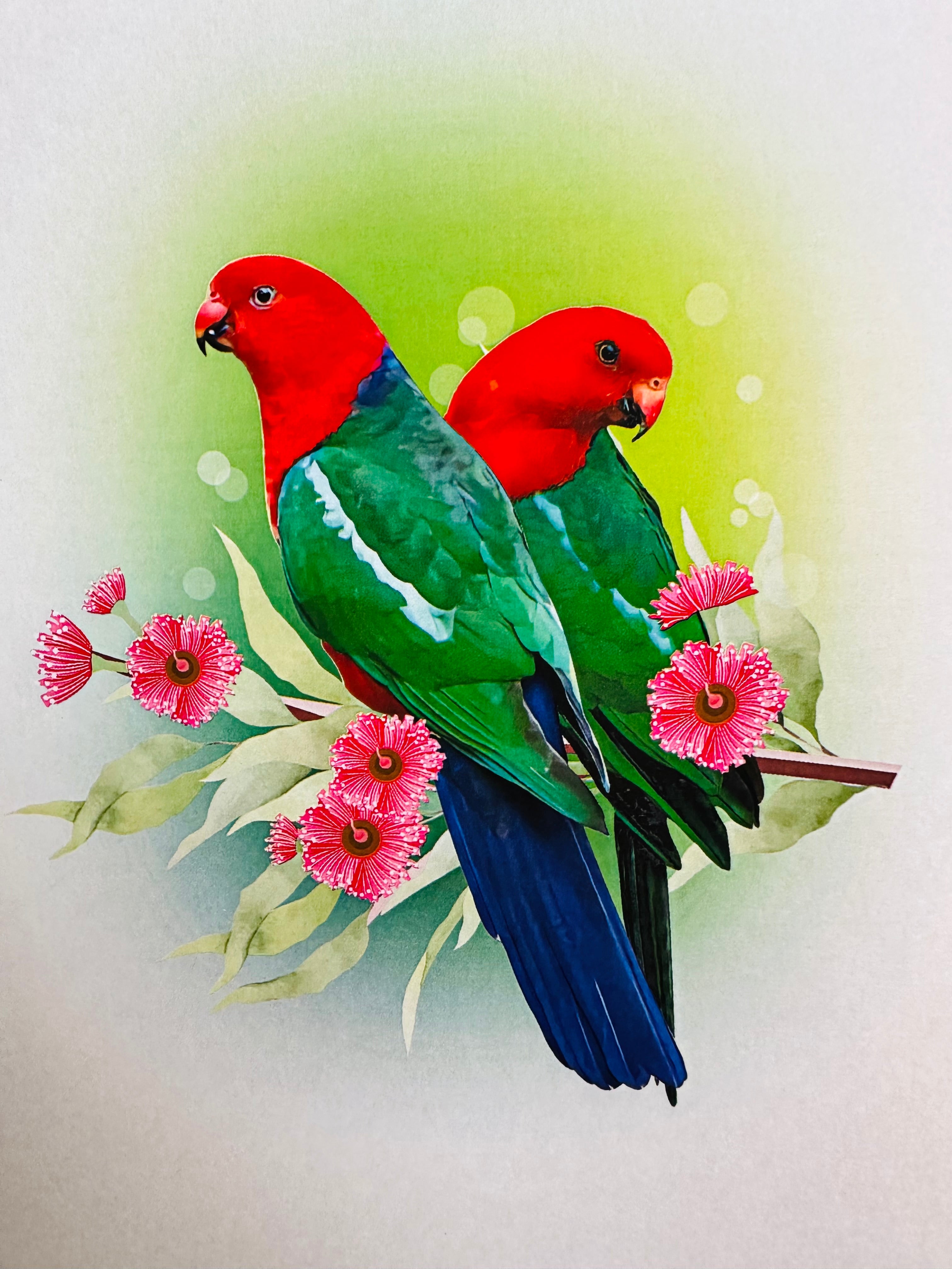 DOUBLE Australian King Parrots - Aussie Bird Origami Pop Cards 3D Pop Up Greeting Card Celebrate Happy Birthday Thank You Handmade Best Wishes Gift Thinking of You Blank Card for Any Occasion Happy Mother's Day Happy Father's Day Australiana Birds