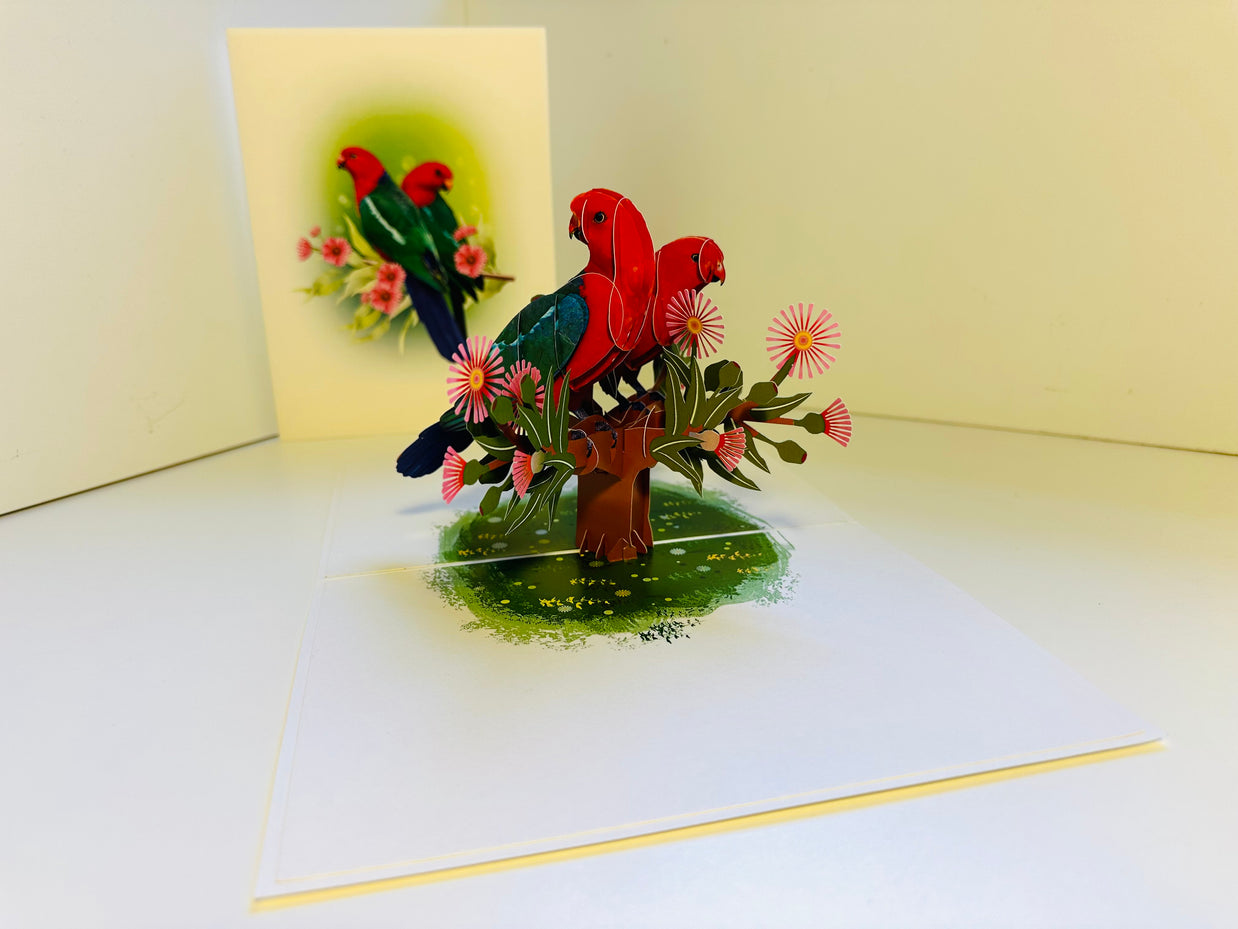 DOUBLE Australian King Parrots - Aussie Bird Origami Pop Cards 3D Pop Up Greeting Card Celebrate Happy Birthday Thank You Handmade Best Wishes Gift Thinking of You Blank Card for Any Occasion Happy Mother's Day Happy Father's Day Australiana Birds