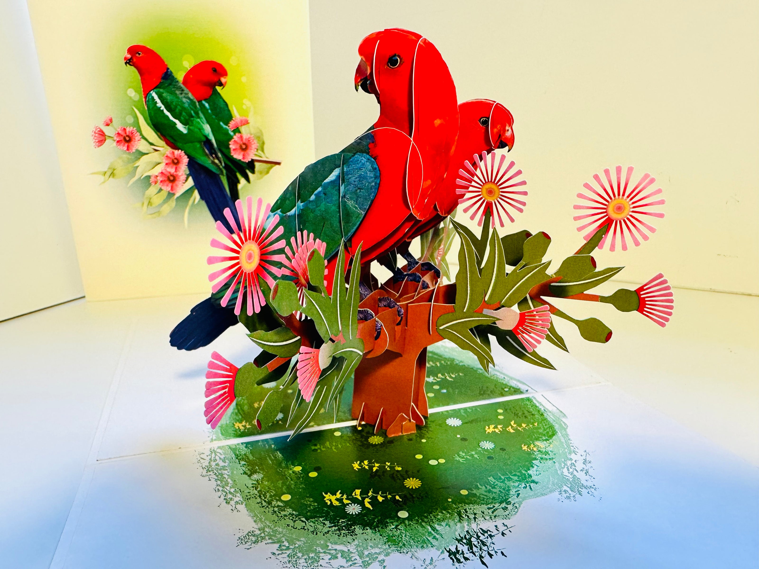 DOUBLE Australian King Parrots - Aussie Bird Origami Pop Cards 3D Pop Up Greeting Card Celebrate Happy Birthday Thank You Handmade Best Wishes Gift Thinking of You Blank Card for Any Occasion Happy Mother's Day Happy Father's Day Australiana Birds