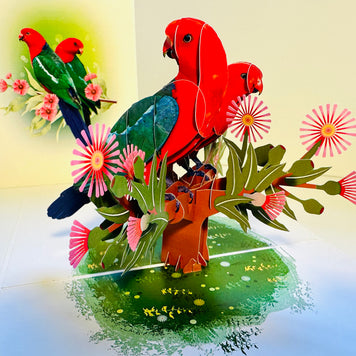 DOUBLE Australian King Parrots - Aussie Bird Origami Pop Cards 3D Pop Up Greeting Card Celebrate Happy Birthday Thank You Handmade Best Wishes Gift Thinking of You Blank Card for Any Occasion Happy Mother's Day Happy Father's Day Australiana Birds
