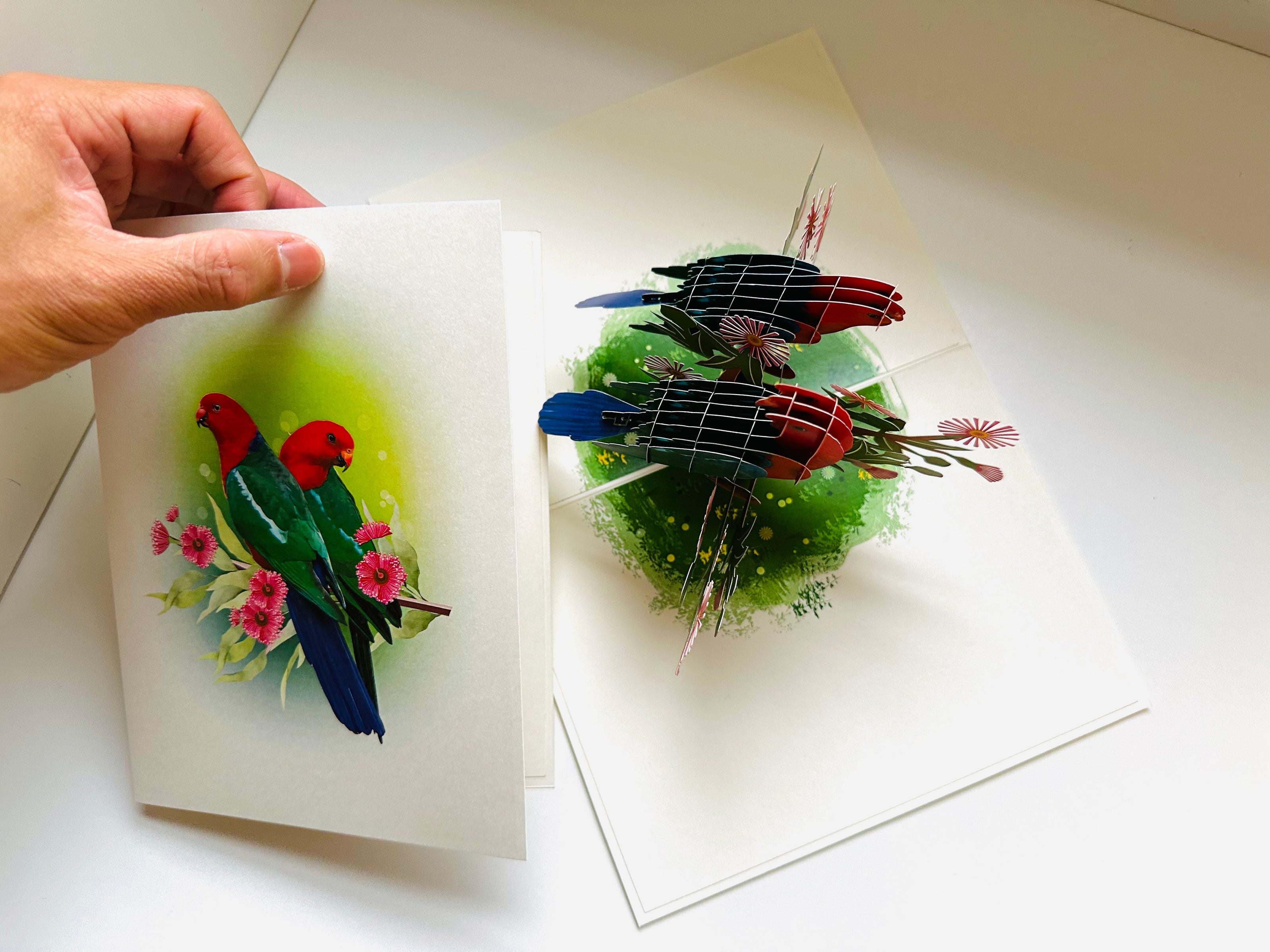 DOUBLE Australian King Parrots - Aussie Bird Origami Pop Cards 3D Pop Up Greeting Card Celebrate Happy Birthday Thank You Handmade Best Wishes Gift Thinking of You Blank Card for Any Occasion Happy Mother's Day Happy Father's Day Australiana Birds
