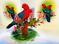 DOUBLE Australian King Parrots - Aussie Bird Origami Pop Cards 3D Pop Up Greeting Card Celebrate Happy Birthday Thank You Handmade Best Wishes Gift Thinking of You Blank Card for Any Occasion Happy Mother's Day Happy Father's Day Australiana Birds