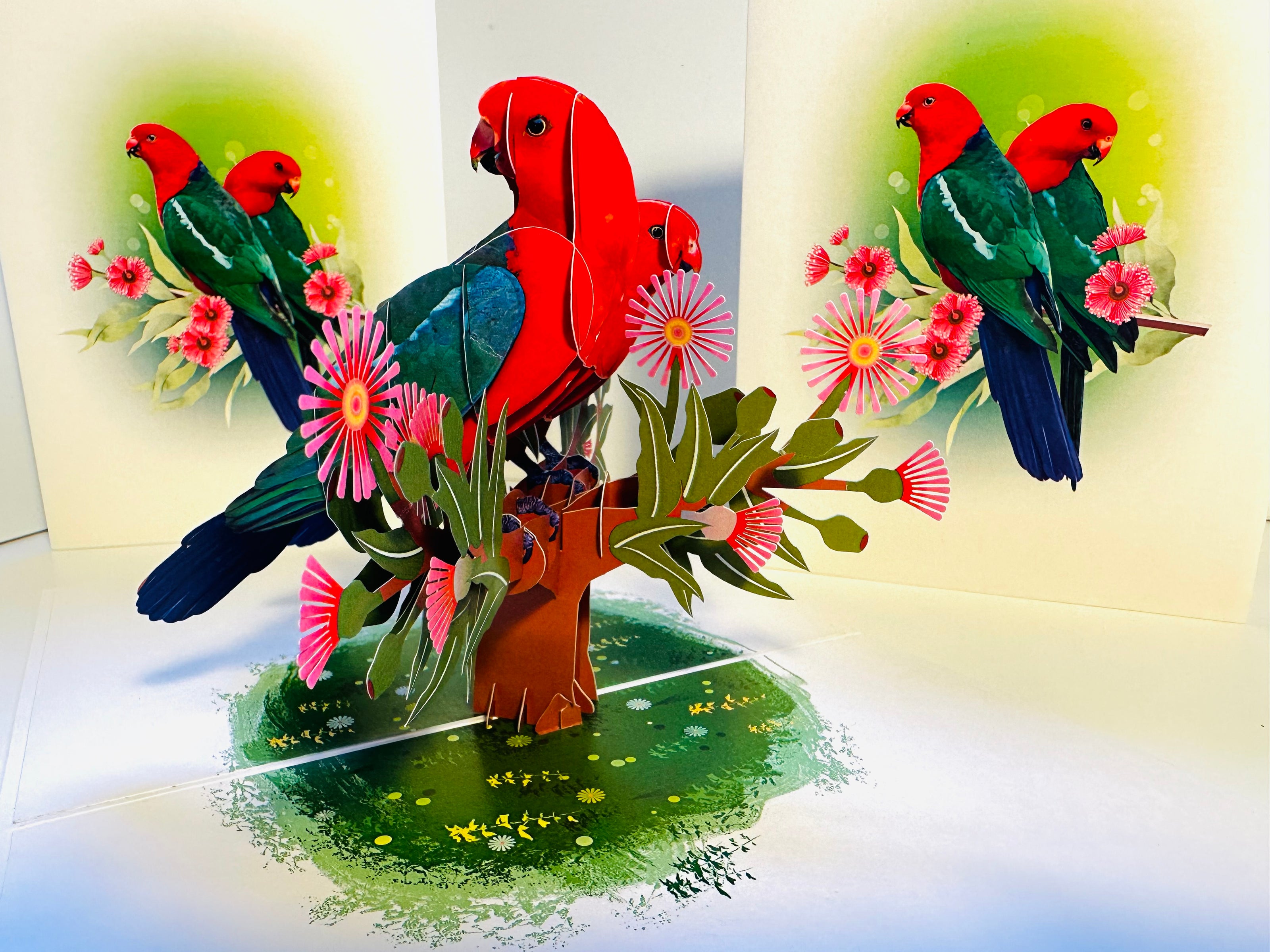 DOUBLE Australian King Parrots - Aussie Bird Origami Pop Cards 3D Pop Up Greeting Card Celebrate Happy Birthday Thank You Handmade Best Wishes Gift Thinking of You Blank Card for Any Occasion Happy Mother's Day Happy Father's Day Australiana Birds