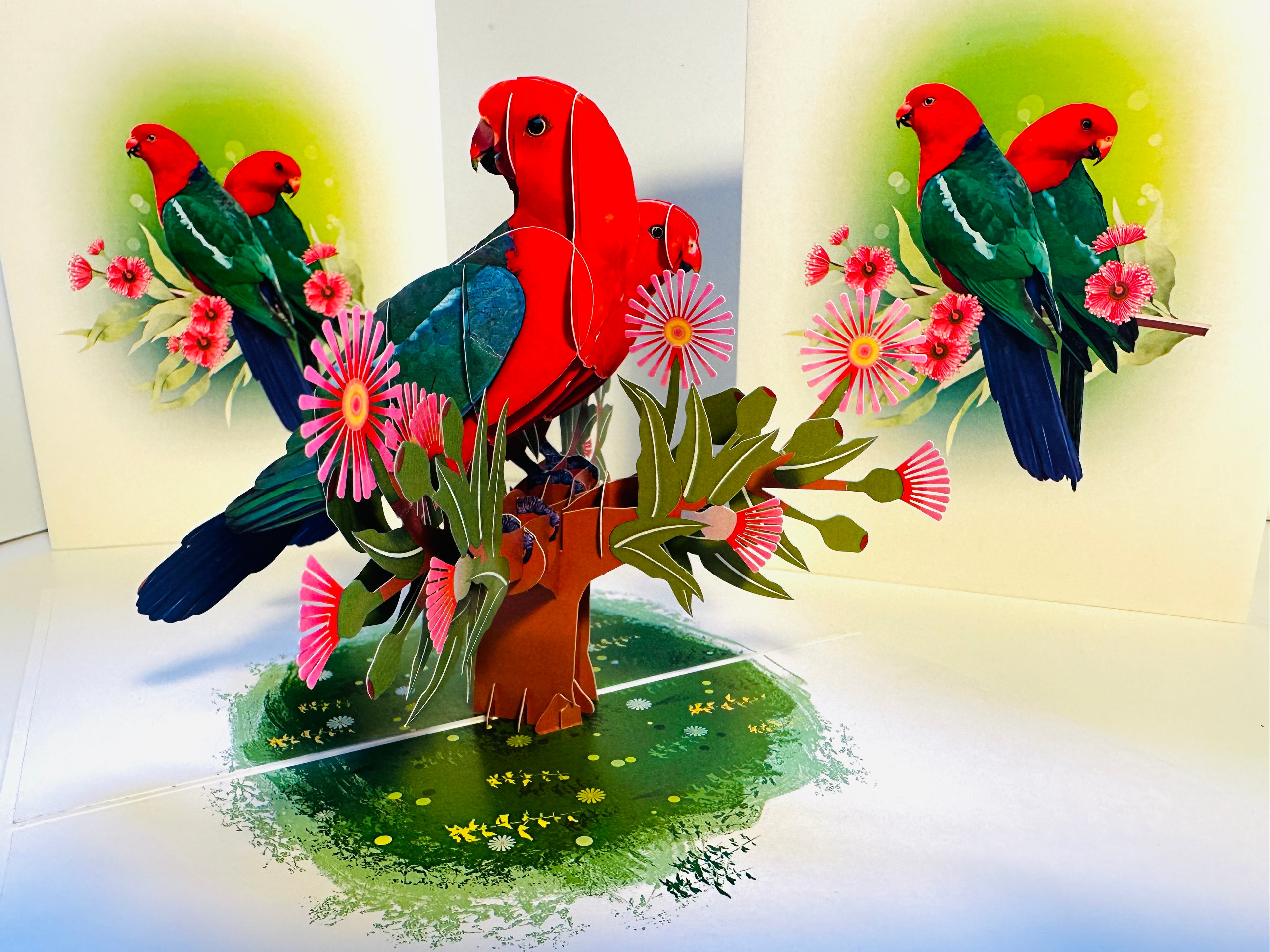 DOUBLE Australian King Parrots - Aussie Bird Origami Pop Cards 3D Pop Up Greeting Card Celebrate Happy Birthday Thank You Handmade Best Wishes Gift Thinking of You Blank Card for Any Occasion Happy Mother's Day Happy Father's Day Australiana Birds