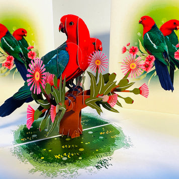 DOUBLE Australian King Parrots - Aussie Bird Origami Pop Cards 3D Pop Up Greeting Card Celebrate Happy Birthday Thank You Handmade Best Wishes Gift Thinking of You Blank Card for Any Occasion Happy Mother's Day Happy Father's Day Australiana Birds