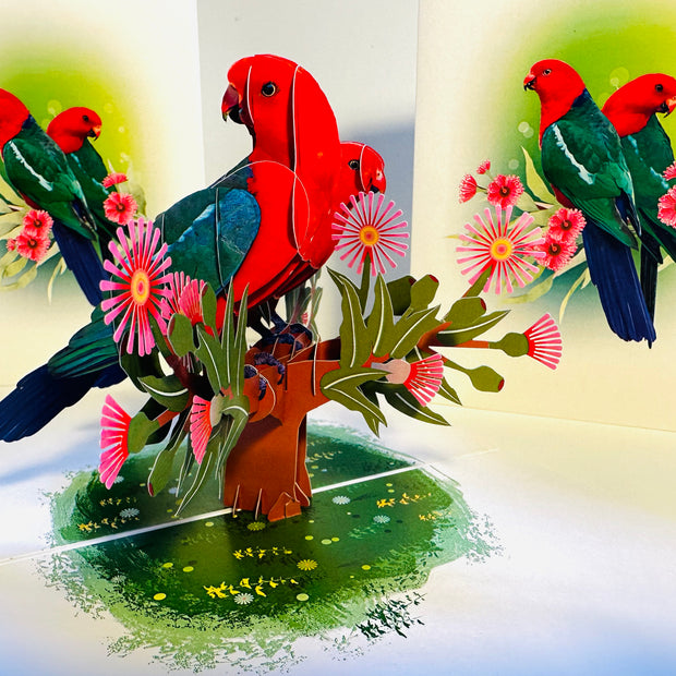 DOUBLE Australian King Parrots - Aussie Bird Origami Pop Cards 3D Pop Up Greeting Card Celebrate Happy Birthday Thank You Handmade Best Wishes Gift Thinking of You Blank Card for Any Occasion Happy Mother's Day Happy Father's Day Australiana Birds