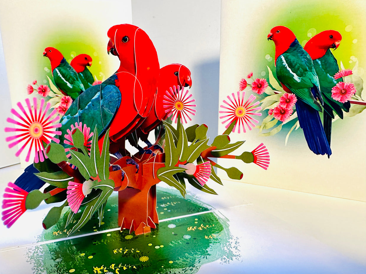 DOUBLE Australian King Parrots - Aussie Bird Origami Pop Cards 3D Pop Up Greeting Card Celebrate Happy Birthday Thank You Handmade Best Wishes Gift Thinking of You Blank Card for Any Occasion Happy Mother's Day Happy Father's Day Australiana Birds