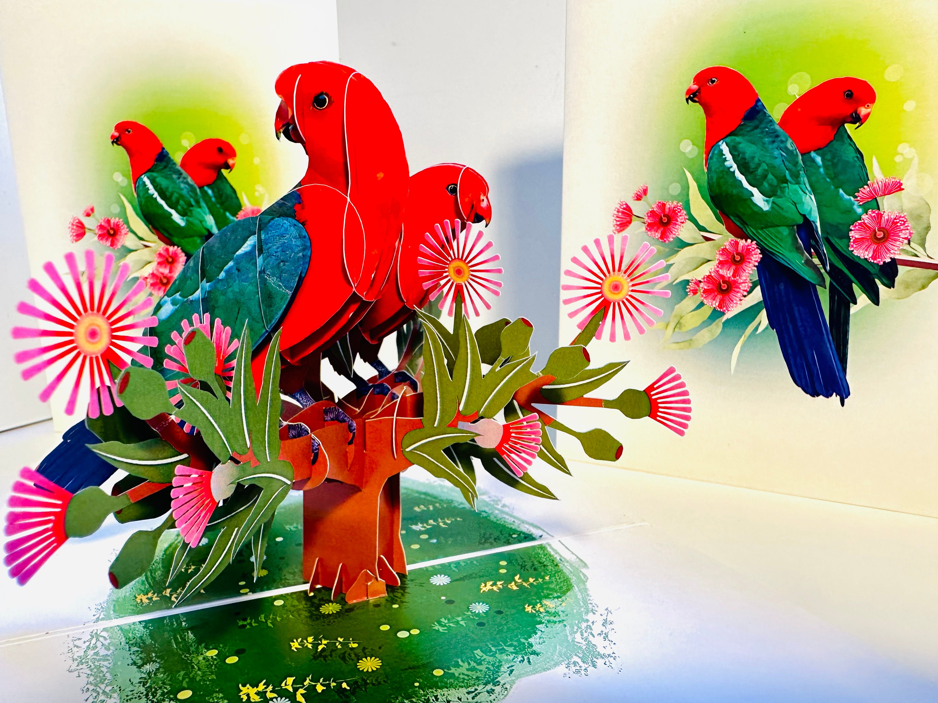 DOUBLE Australian King Parrots - Aussie Bird Origami Pop Cards 3D Pop Up Greeting Card Celebrate Happy Birthday Thank You Handmade Best Wishes Gift Thinking of You Blank Card for Any Occasion Happy Mother's Day Happy Father's Day Australiana Birds