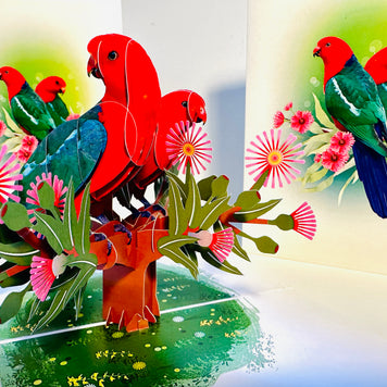 DOUBLE Australian King Parrots - Aussie Bird Origami Pop Cards 3D Pop Up Greeting Card Celebrate Happy Birthday Thank You Handmade Best Wishes Gift Thinking of You Blank Card for Any Occasion Happy Mother's Day Happy Father's Day Australiana Birds