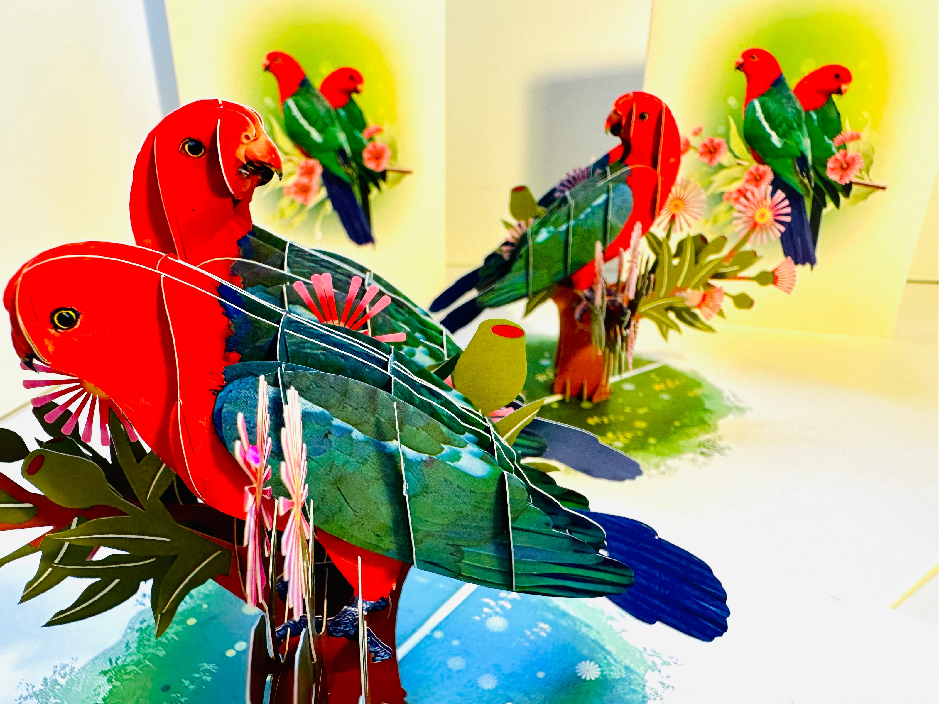 DOUBLE Australian King Parrots - Aussie Bird Origami Pop Cards 3D Pop Up Greeting Card Celebrate Happy Birthday Thank You Handmade Best Wishes Gift Thinking of You Blank Card for Any Occasion Happy Mother's Day Happy Father's Day Australiana Birds