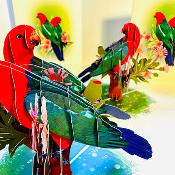 DOUBLE Australian King Parrots - Aussie Bird Origami Pop Cards 3D Pop Up Greeting Card Celebrate Happy Birthday Thank You Handmade Best Wishes Gift Thinking of You Blank Card for Any Occasion Happy Mother's Day Happy Father's Day Australiana Birds