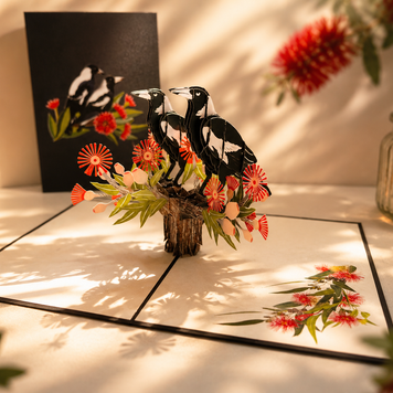 DOUBLE Australian Magpie - Iconic Birds in Aussie Backyards Origami Pop Cards 3D Pop Up Greeting Card Happy Birthday Thank You Handmade Gift Thinking of You Blank Card for Any Occasion Happy Mother's Day Happy Father's Australiana Birds