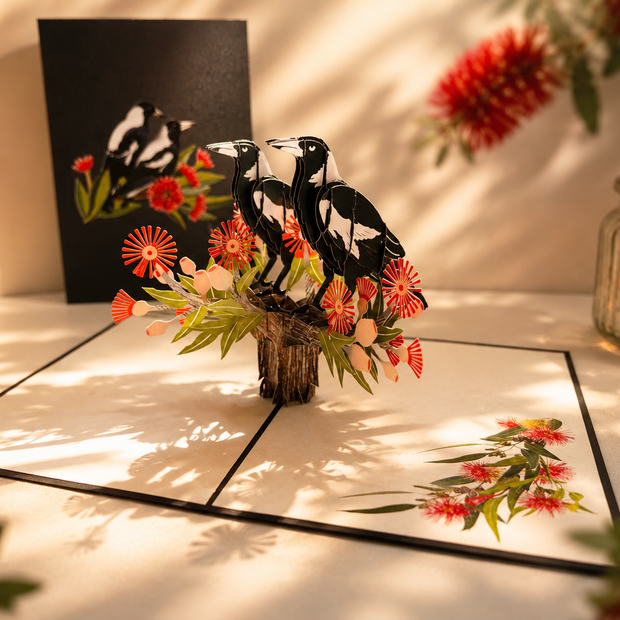 DOUBLE Australian Magpie - Iconic Birds in Aussie Backyards Origami Pop Cards 3D Pop Up Greeting Card Happy Birthday Thank You Handmade Gift Thinking of You Blank Card for Any Occasion Happy Mother's Day Happy Father's Australiana Birds