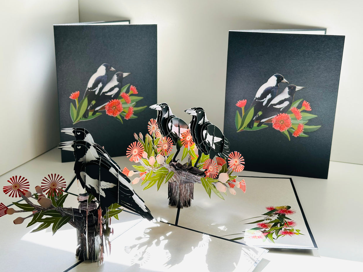 DOUBLE Australian Magpie - Iconic Birds in Aussie Backyards Origami Pop Cards 3D Pop Up Greeting Card Happy Birthday Thank You Handmade Gift Thinking of You Blank Card for Any Occasion Happy Mother's Day Happy Father's Australiana Birds