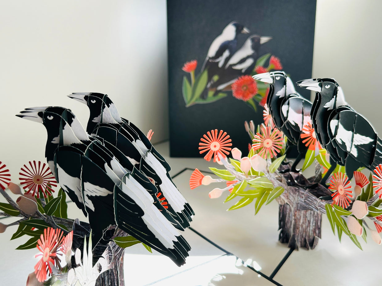 DOUBLE Australian Magpie - Iconic Birds in Aussie Backyards Origami Pop Cards 3D Pop Up Greeting Card Happy Birthday Thank You Handmade Gift Thinking of You Blank Card for Any Occasion Happy Mother's Day Happy Father's Australiana Birds
