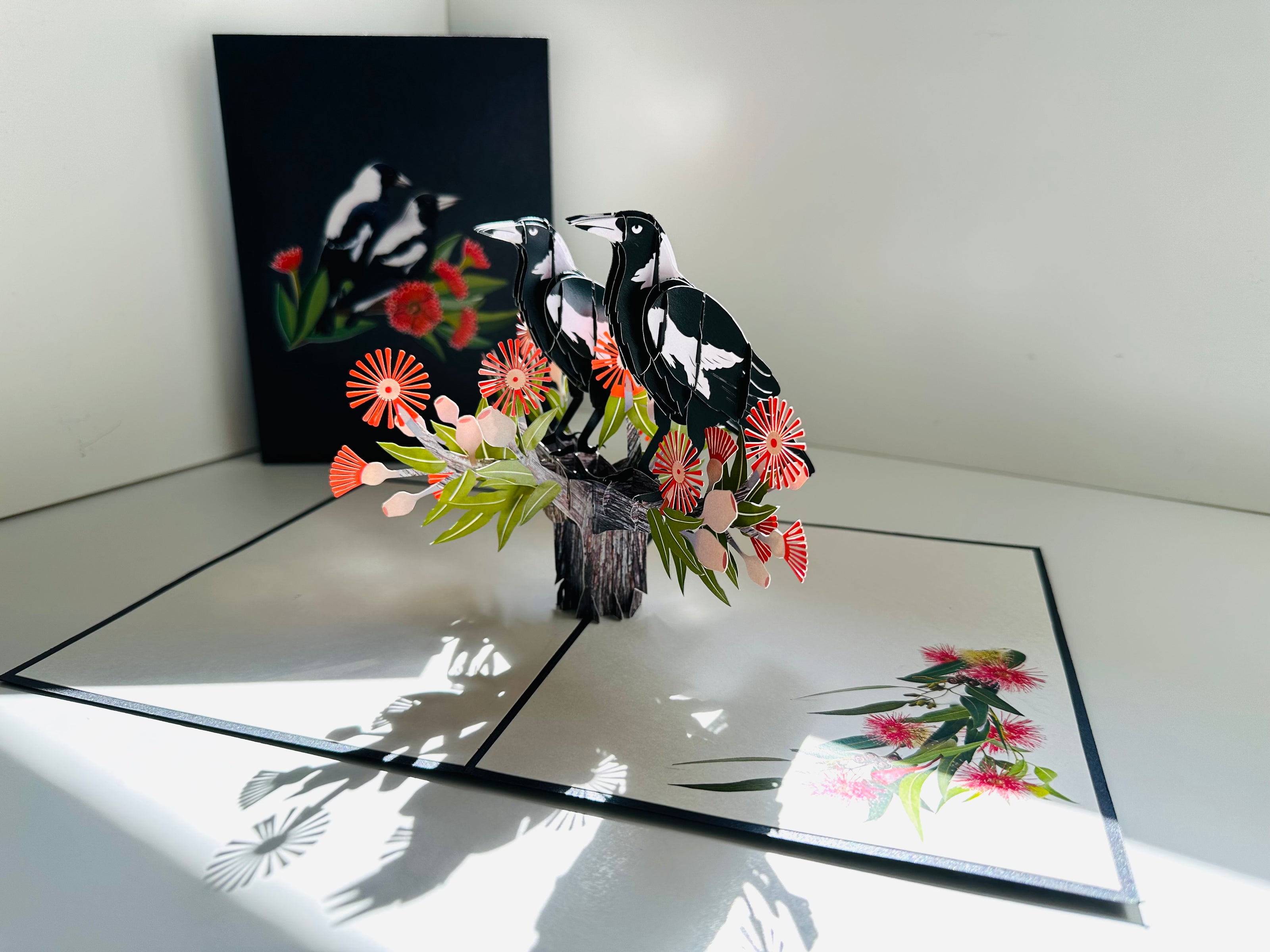 DOUBLE Australian Magpie - Iconic Birds in Aussie Backyards Origami Pop Cards 3D Pop Up Greeting Card Happy Birthday Thank You Handmade Gift Thinking of You Blank Card for Any Occasion Happy Mother's Day Happy Father's Australiana Birds
