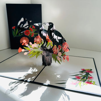 DOUBLE Australian Magpie - Iconic Birds in Aussie Backyards Origami Pop Cards 3D Pop Up Greeting Card Happy Birthday Thank You Handmade Gift Thinking of You Blank Card for Any Occasion Happy Mother's Day Happy Father's Australiana Birds