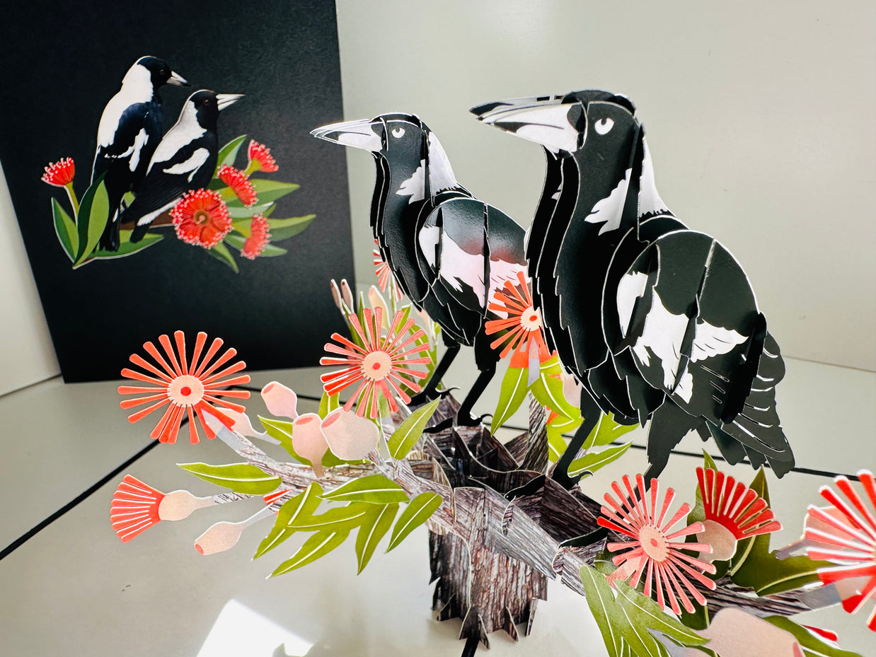 DOUBLE Australian Magpie - Iconic Birds in Aussie Backyards Origami Pop Cards 3D Pop Up Greeting Card Happy Birthday Thank You Handmade Gift Thinking of You Blank Card for Any Occasion Happy Mother's Day Happy Father's Australiana Birds