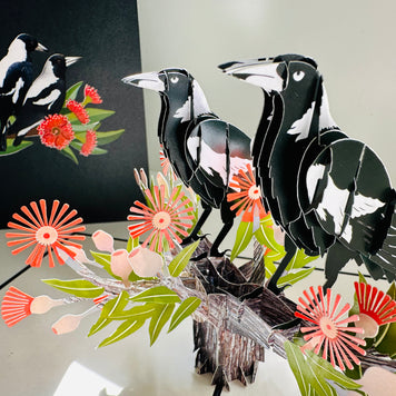 DOUBLE Australian Magpie - Iconic Birds in Aussie Backyards Origami Pop Cards 3D Pop Up Greeting Card Happy Birthday Thank You Handmade Gift Thinking of You Blank Card for Any Occasion Happy Mother's Day Happy Father's Australiana Birds