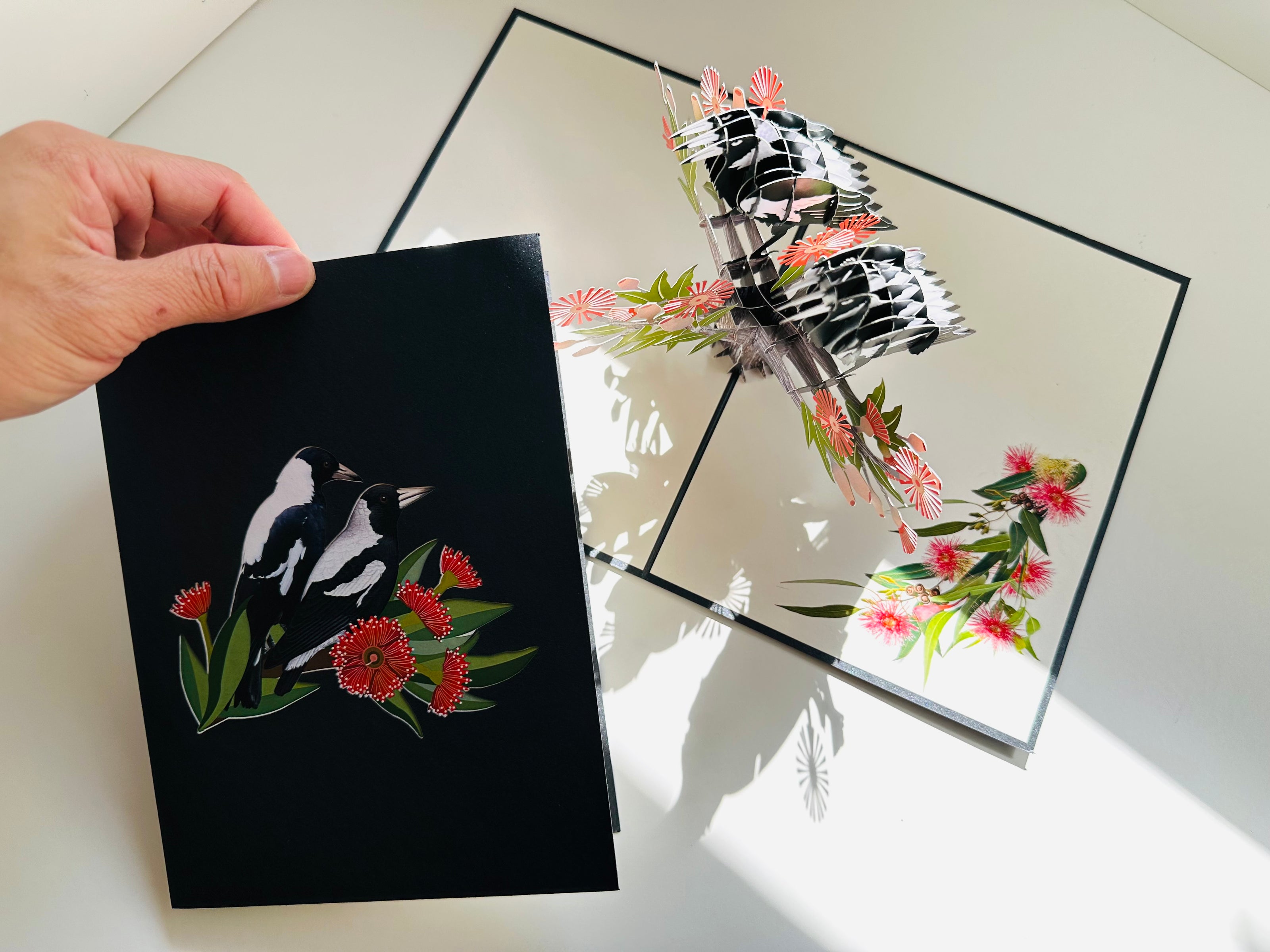 DOUBLE Australian Magpie - Iconic Birds in Aussie Backyards Origami Pop Cards 3D Pop Up Greeting Card Happy Birthday Thank You Handmade Gift Thinking of You Blank Card for Any Occasion Happy Mother's Day Happy Father's Australiana Birds