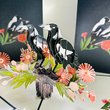 DOUBLE Australian Magpie - Iconic Birds in Aussie Backyards Origami Pop Cards 3D Pop Up Greeting Card Happy Birthday Thank You Handmade Gift Thinking of You Blank Card for Any Occasion Happy Mother's Day Happy Father's Australiana Birds