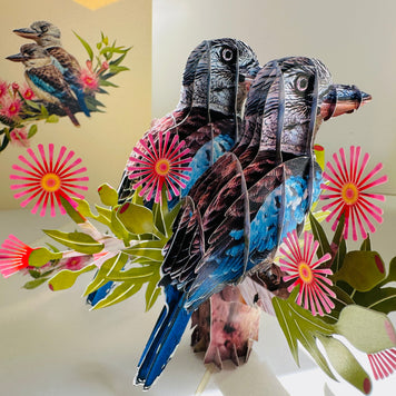 DOUBLE Kookaburra Australian Iconic Bird Origami Pop Cards 3D Pop Up Greeting Card Celebrate Happy Birthday Thank You Handmade Best Wishes Gift Thinking of You Blank Card for Any Occasion Happy Mother's Day Happy Father's Day Australiana Birds