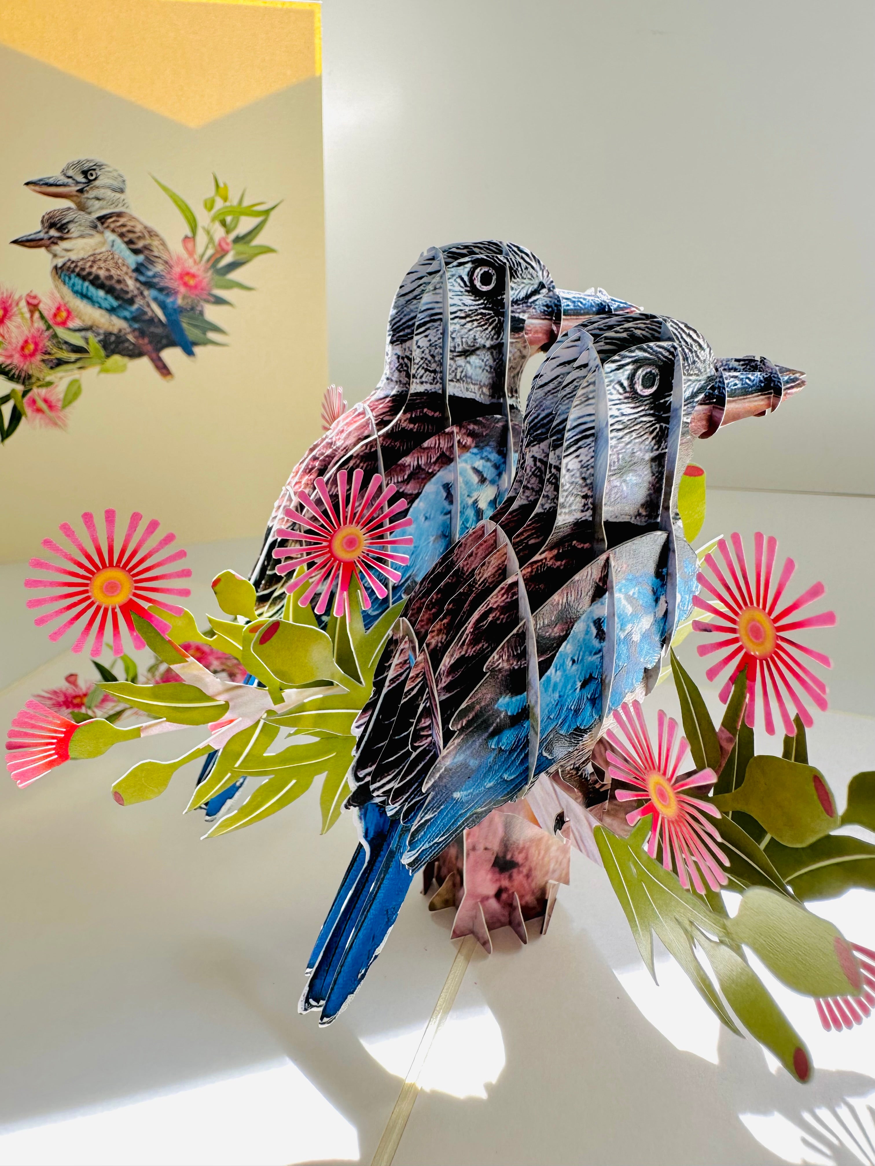 DOUBLE Kookaburra Australian Iconic Bird Origami Pop Cards 3D Pop Up Greeting Card Celebrate Happy Birthday Thank You Handmade Best Wishes Gift Thinking of You Blank Card for Any Occasion Happy Mother's Day Happy Father's Day Australiana Birds
